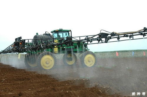 甘蔗除草剂使用不当， 药害问题多