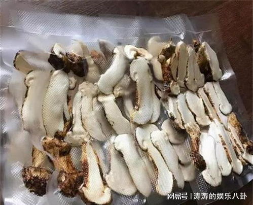 新鲜松茸如何保存，晒干松茸的方法是什么