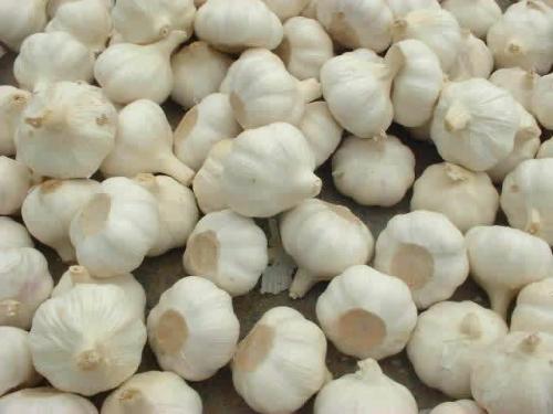 “春季什么时候种植大蒜最适宜，具体种植方法和步骤是怎样的
