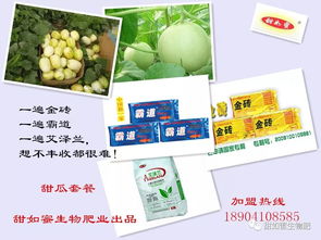 叶面肥与农药混用需注意配伍禁忌，避免药效降低或产生毒害
