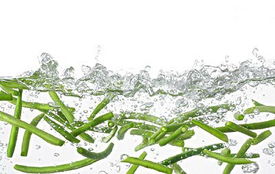 茄子，四季常青，市场供应无忧