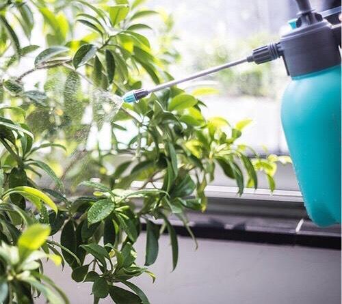 生长影响：不可忽视