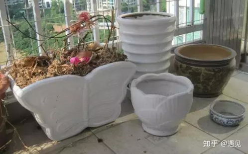 瓷盆要有好的排水层