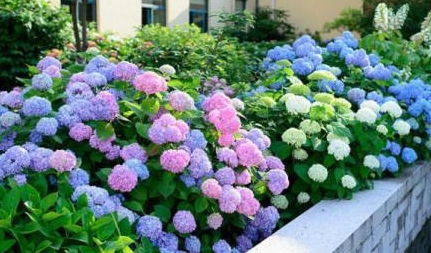 浇水， 这可是门大学问