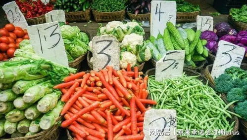 有一些我们经常吃的蔬菜， 其实也是非常容易种植的