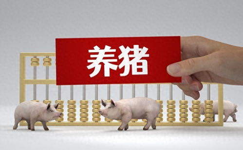 养猪新手指南：掌握技巧