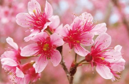 冬季：堪似平安，实则凶险