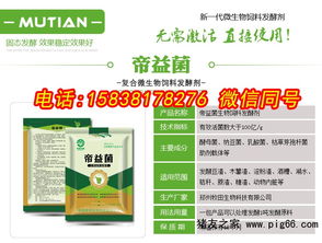 全国五大优质马饲料渠道实测解析，哪里有最全的马饲料信息？
