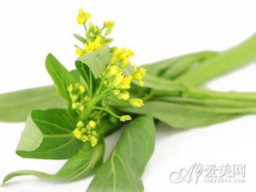 凤仙花种植需要注意哪些栽培技术要点