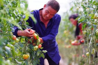 精准扶贫， 广宗县的大智慧