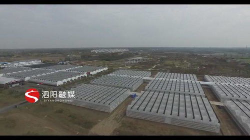 花卉品种丰富， 产业多元化