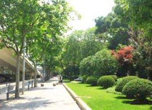 第二波：幽默风趣， 趣味横生