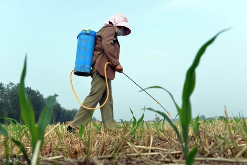 内吸传导型除草剂， 那是草的克星