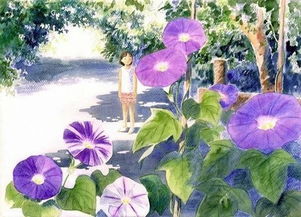 “牵牛花过冬秘诀，视频揭秘！”