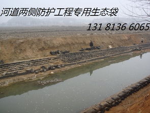 草籽的选择之道