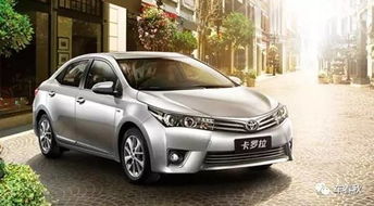 卡罗拉月季：隐藏的销冠