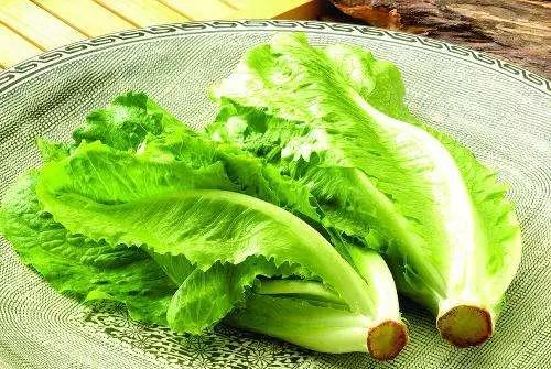 生菜吃多了会引发肠胃不适？你中招了吗