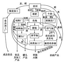 我国饲料行业的发展历程对当前居民膳食结构有何深远影响？