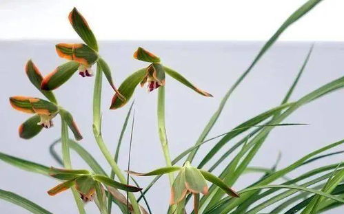 五、季节性的调整