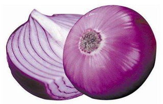 洋葱种植入门指南：切开种子大揭秘