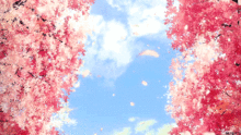 春天赏花攻略：樱花、桃花、梨花