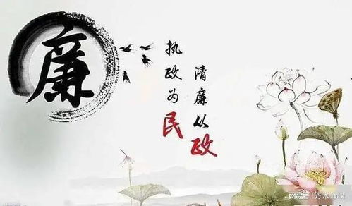 那些花儿，那些事儿