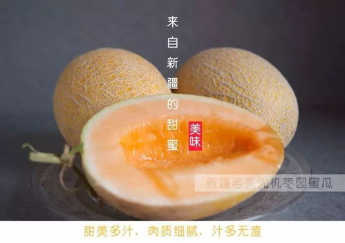 哈密瓜种子萧山首次出口，探索国内种子出口新篇章