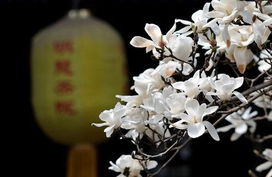 影响价格的多种因素