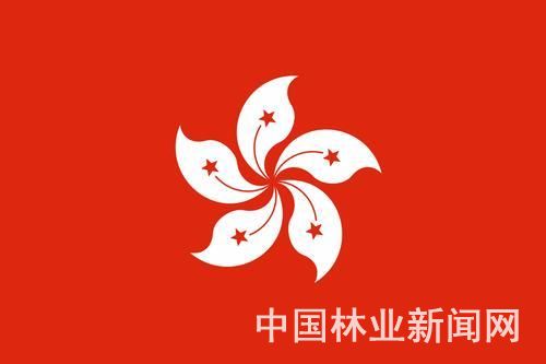 香港区旗是紫荆花，紫荆花背后的故事你知道吗