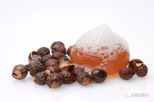 打破休眠期的方法