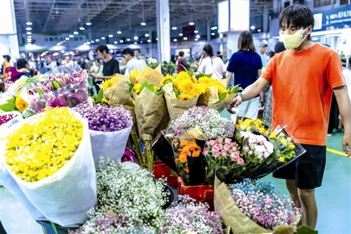 昆明花市拍市，如何轻松参与