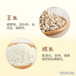五谷杂粮有哪些？常见种类和功效都在这