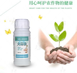 乙烯与激素对柑橘着色的影响