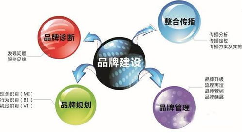 推销种子，kan时机