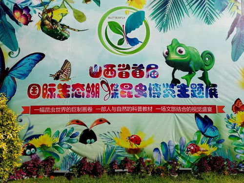 小精灵们的舞姿