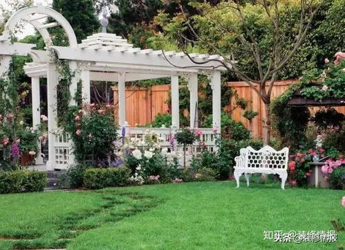 高原种花，生存挑战大，新手如何应对？