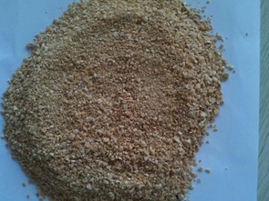 全国豆粕最新价格行情如何？近期豆粕价格走势是上涨还是下跌？