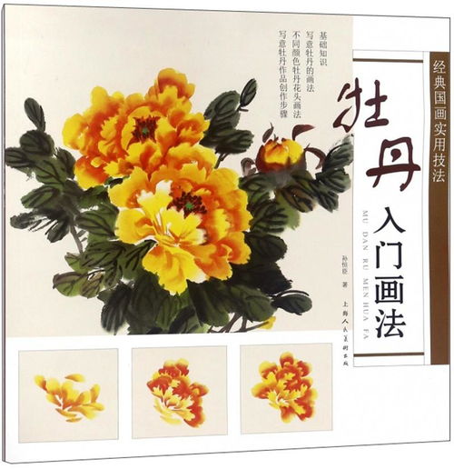 “牡丹花画法入门，新手如何轻松上色