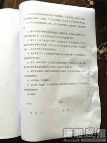 假饲料损失对饲料加工厂的合同履行有何具体影响和责任规定？