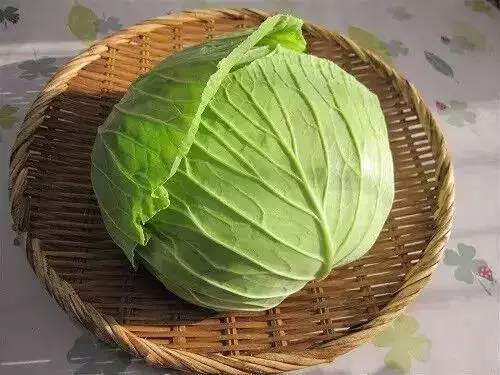 卷心菜富含抗氧化物质，可减轻辐射对人体的伤害