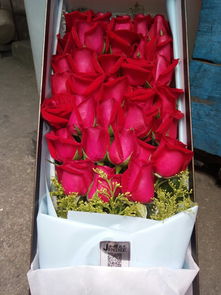 红玫瑰花束的含义