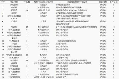 研究一下kankan效果