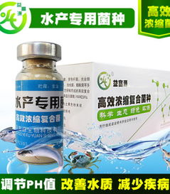 为什么养鱼总是褪色，使用虾红素饲料每月省150元就能养出鎏金鳞，这是怎么回事呢？