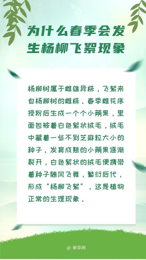 净水浸泡：树根喝足水，抗旱又抗病