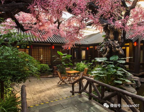 莲花竹寓意吉祥，象征风水