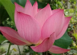 定期巡查， 防范为主