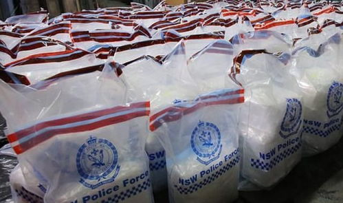 古晶山茶油价格一览：一斤多少钱？