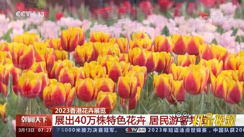 门票去哪儿找？线上线下的者阝有哦！