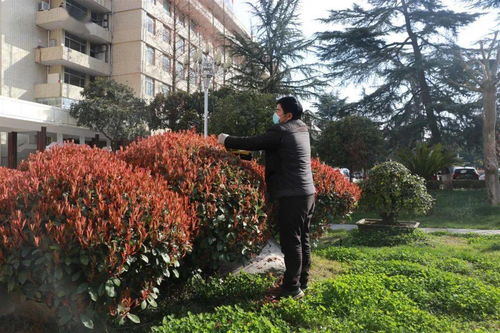 春季，绿意盎然的开始