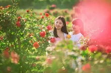 “夏日休眠，仙子花梦醒时分